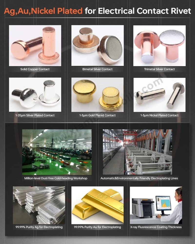 Ag,Au,Nickel Plated for Electrical Contact Rivet Ag,Au,Nickel Plated for Electrical Contact Rivet